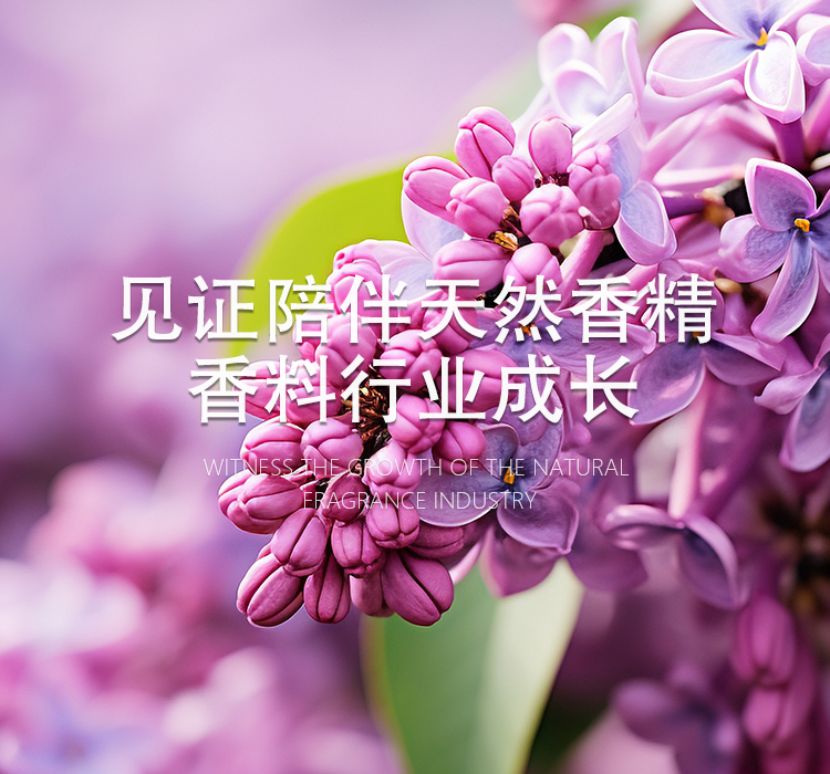 w88winŵ¡(й)ֻ