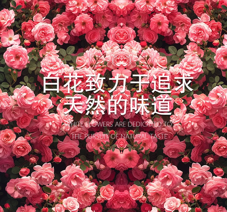 w88winŵ¡(й)ֻ